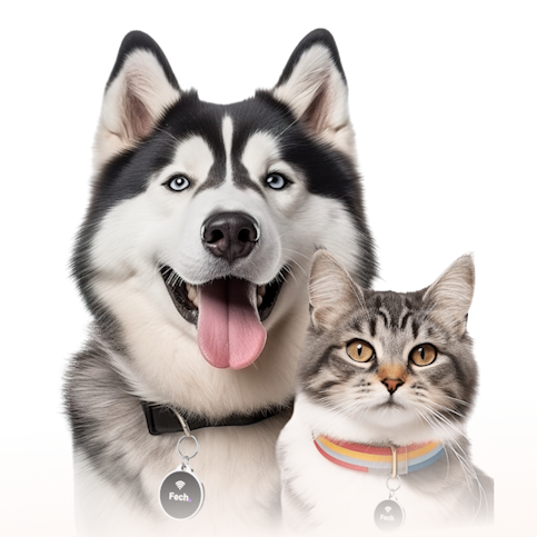 Fech pet tag and pet family image